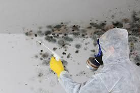 Harmony, PA Mold Prevention & Removal  Company